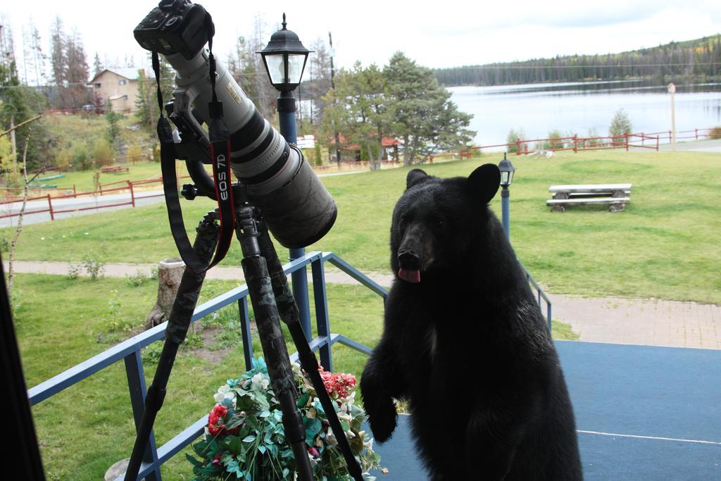 Lac Le Jeune Resort & Nature Centre Камлупс Екстериор снимка