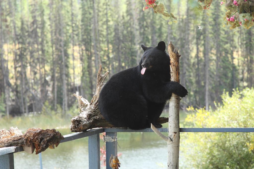 Lac Le Jeune Resort & Nature Centre Камлупс Екстериор снимка