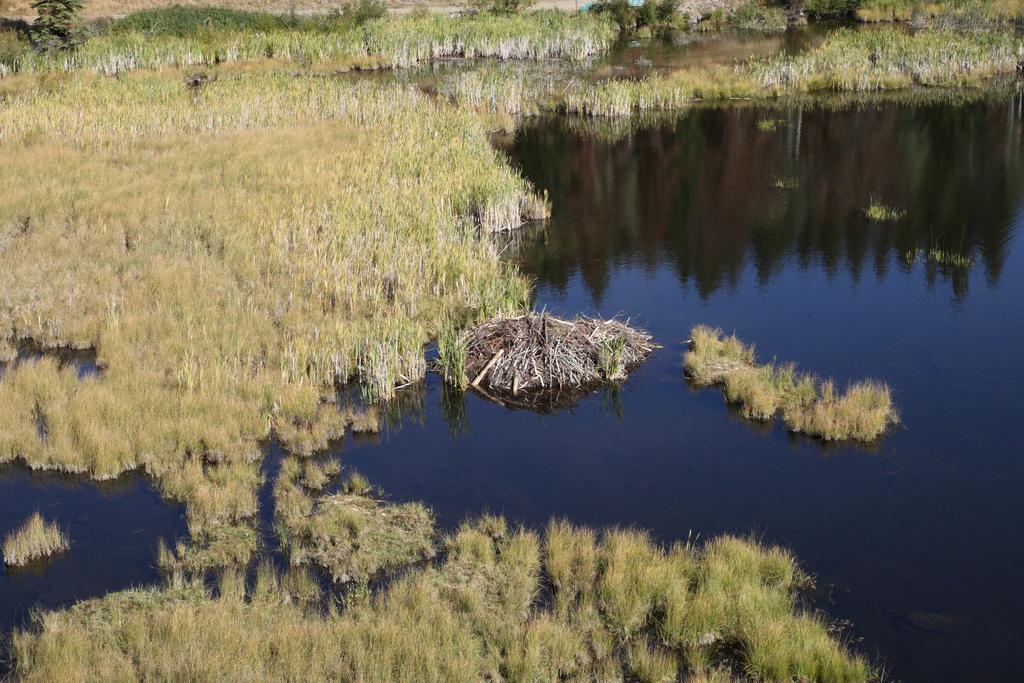 Lac Le Jeune Resort & Nature Centre Камлупс Екстериор снимка