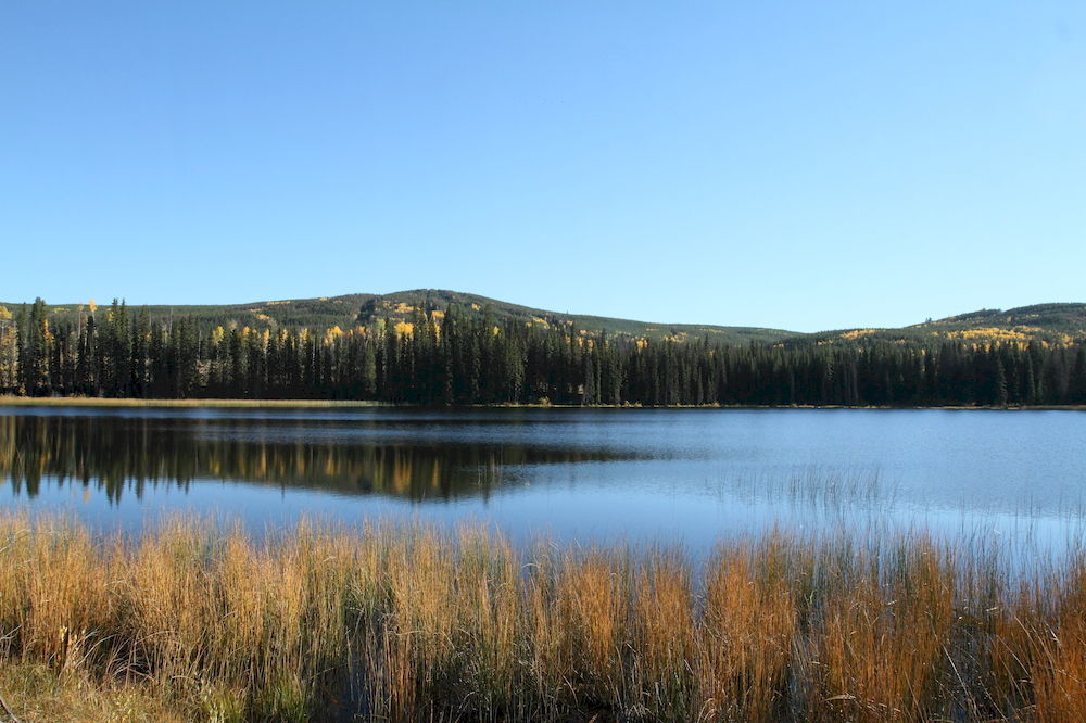 Lac Le Jeune Resort & Nature Centre Камлупс Екстериор снимка